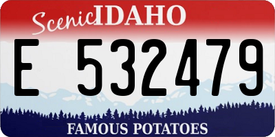 ID license plate E532479