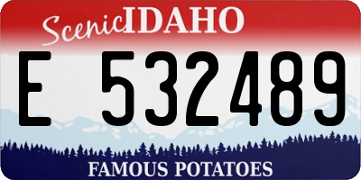 ID license plate E532489