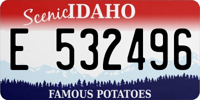 ID license plate E532496