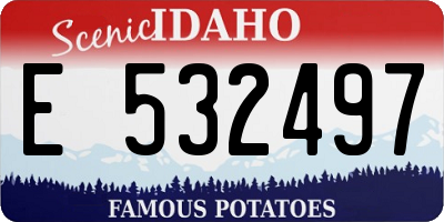 ID license plate E532497