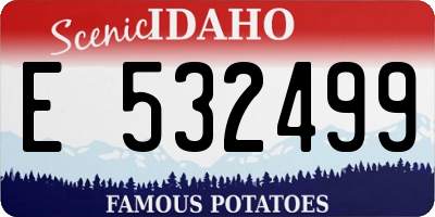 ID license plate E532499