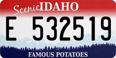 ID license plate E532519