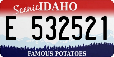 ID license plate E532521