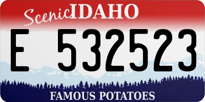 ID license plate E532523