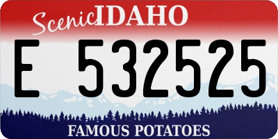 ID license plate E532525