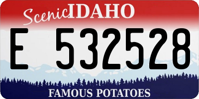 ID license plate E532528
