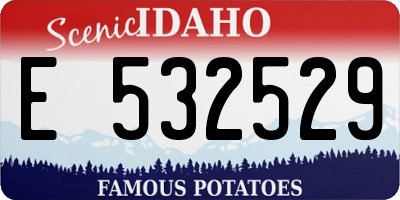 ID license plate E532529
