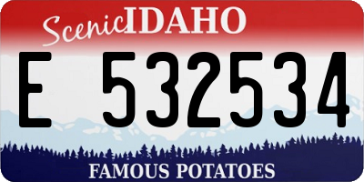 ID license plate E532534