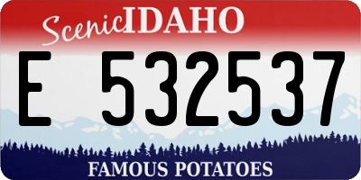 ID license plate E532537
