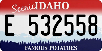 ID license plate E532558