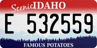 ID license plate E532559