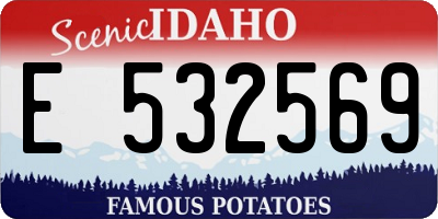 ID license plate E532569