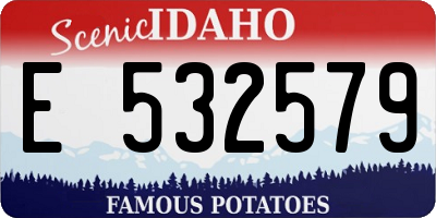 ID license plate E532579