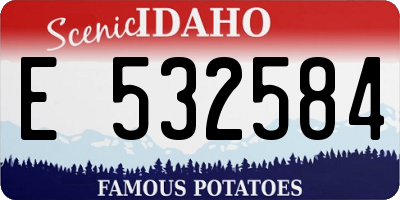 ID license plate E532584