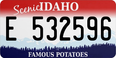 ID license plate E532596