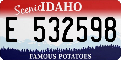 ID license plate E532598