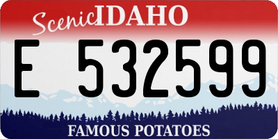 ID license plate E532599