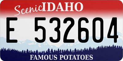 ID license plate E532604