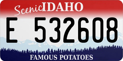 ID license plate E532608