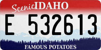 ID license plate E532613