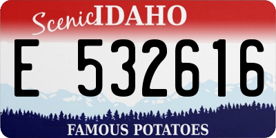 ID license plate E532616