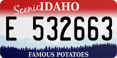 ID license plate E532663