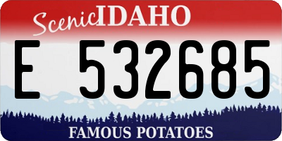 ID license plate E532685