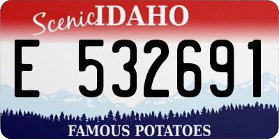 ID license plate E532691