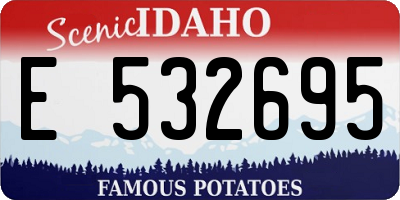 ID license plate E532695