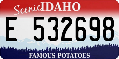 ID license plate E532698
