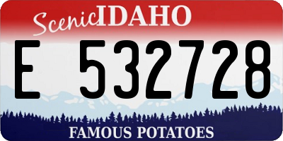 ID license plate E532728