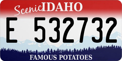 ID license plate E532732