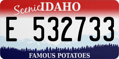 ID license plate E532733