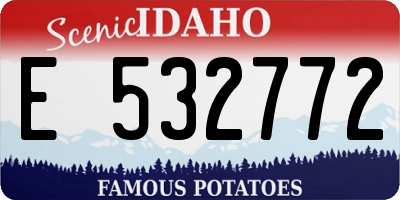 ID license plate E532772