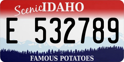 ID license plate E532789