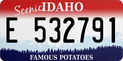 ID license plate E532791