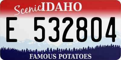 ID license plate E532804
