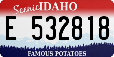 ID license plate E532818