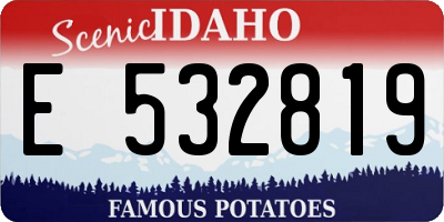 ID license plate E532819