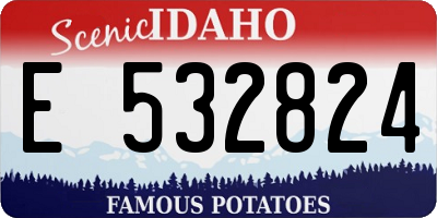 ID license plate E532824