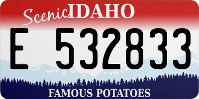ID license plate E532833
