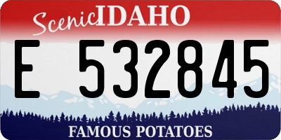 ID license plate E532845