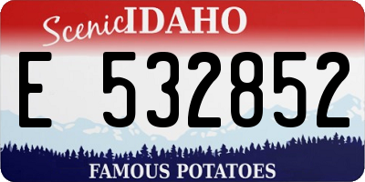 ID license plate E532852