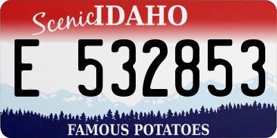 ID license plate E532853