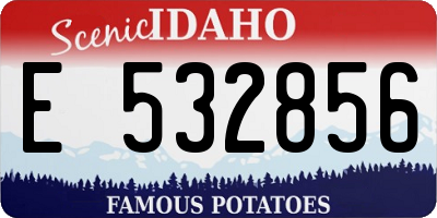 ID license plate E532856