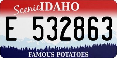 ID license plate E532863