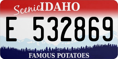 ID license plate E532869