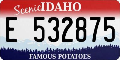 ID license plate E532875