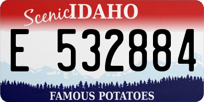 ID license plate E532884