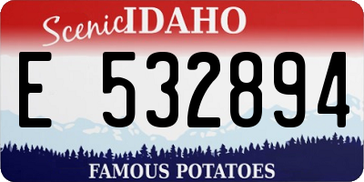 ID license plate E532894